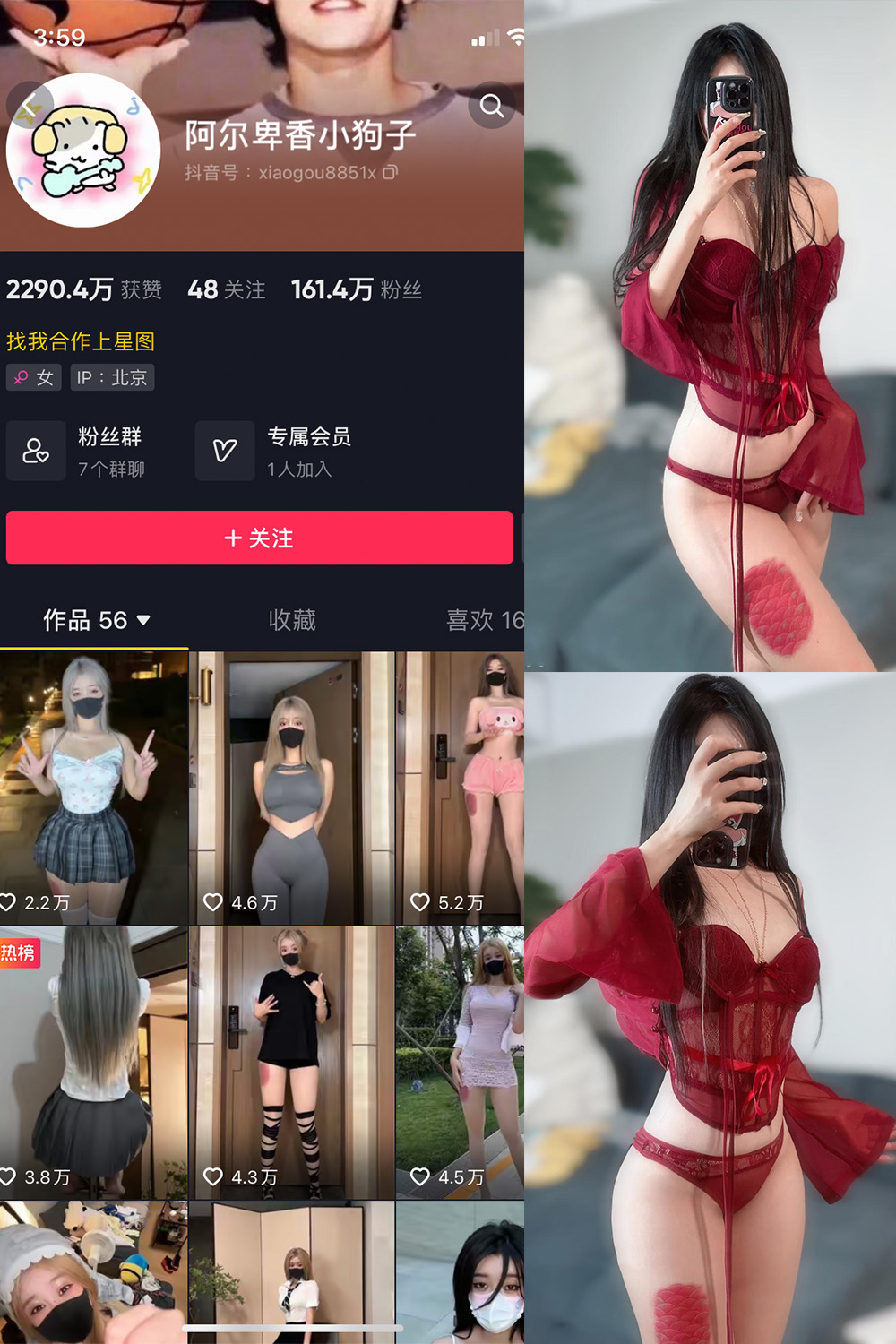 阿尔卑香小狗子 微密圈 NO.005期 【13P】 阿尔卑香小狗子 微密圈 NO.005期 【13P】