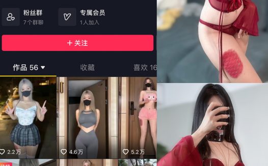 阿尔卑香小狗子 微密圈 NO.005期 【13P】